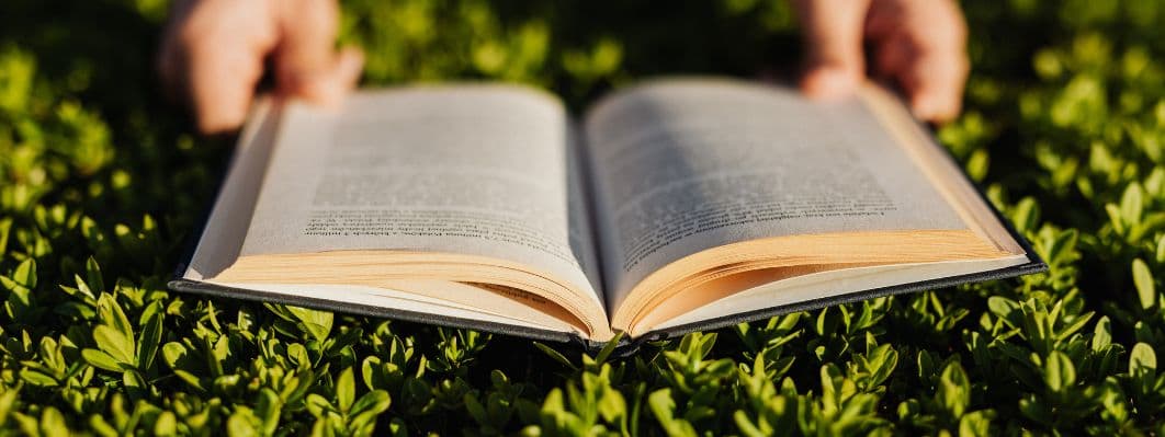 Beka’s Canna-Story Part Two of a Three Part Series Beka’s Canna-Story Part Two of a Three Part Series