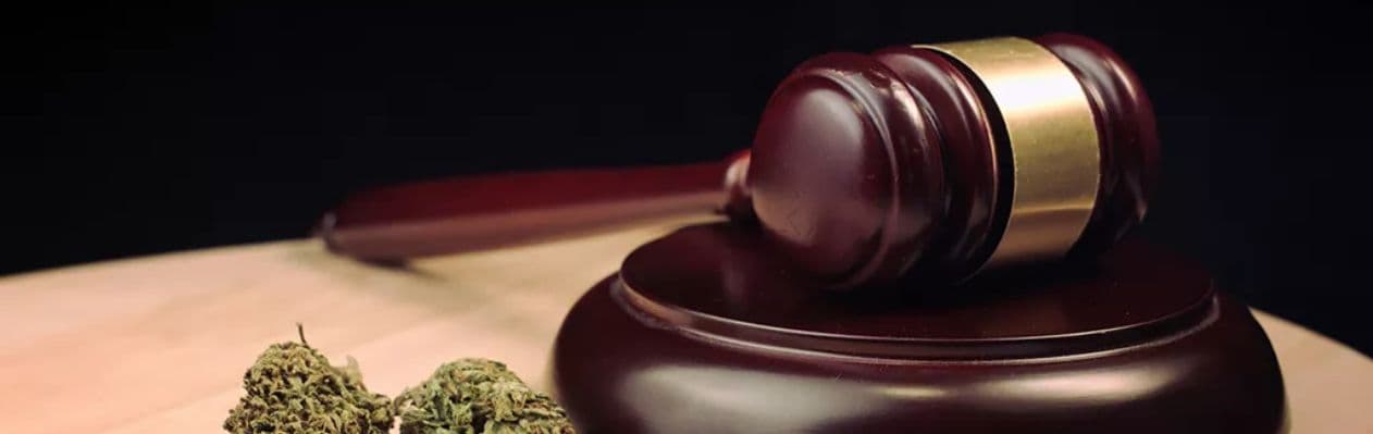 Get a general overview of Missouri's cannabis laws for 2025 Get a general overview of Missouri's cannabis laws for 2025