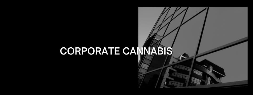 MHW Dispensaries Over Corporate Locations MHW Dispensaries Over Corporate Locations