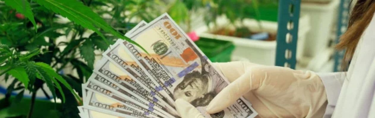 Independence Matters: Why Missouri Health & Wellness Stands Apart Independence Matters: Why Missouri Health & Wellness Stands Apart