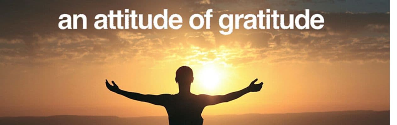 Thankful for the Thorns Thankful for the Thorns