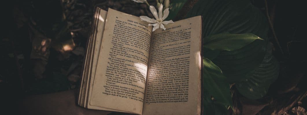 Beka’s Canna-Story Part Three of a Three Part Series Beka’s Canna-Story Part Three of a Three Part Series