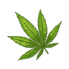 Leafy Cannabis