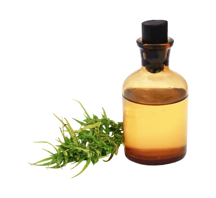 Cannbis in Tincture Form