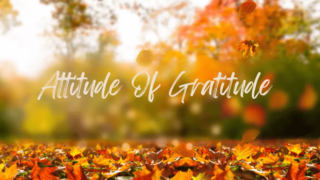 Attitude of Gratitude