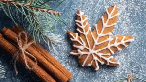 Ginger Bread cookie and cinnamon sticks
