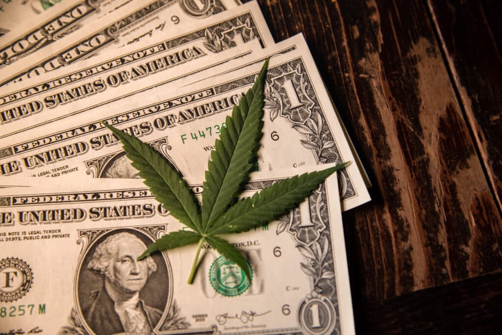 Cannabis Leaf With Money