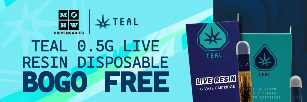 Teal BOGO July 21