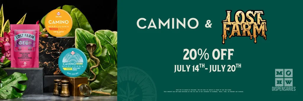 Camino and Lost Farm